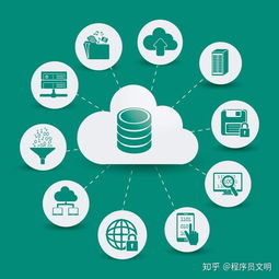 作為軟件開發(fā)人員需要的技術技能