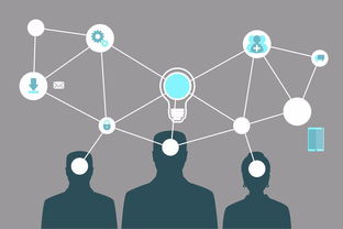 千古貂緣軟件開發(fā)農(nóng)場app模式